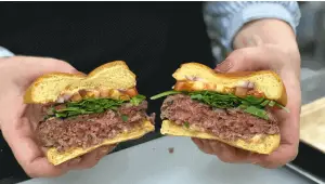 Veg Burger