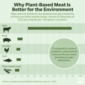 health benefits of Vegan buregr